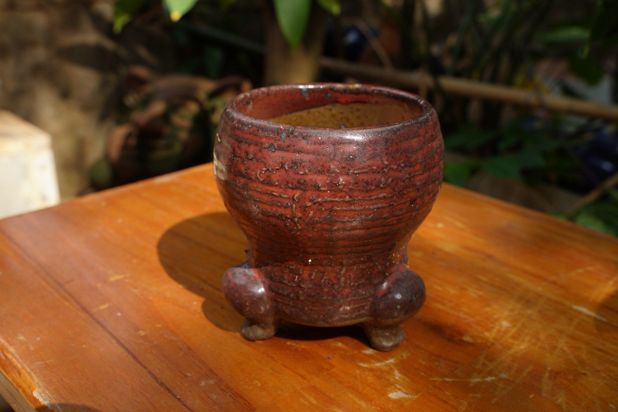 Chậu bonsai Kim 823, R11 x C8cm