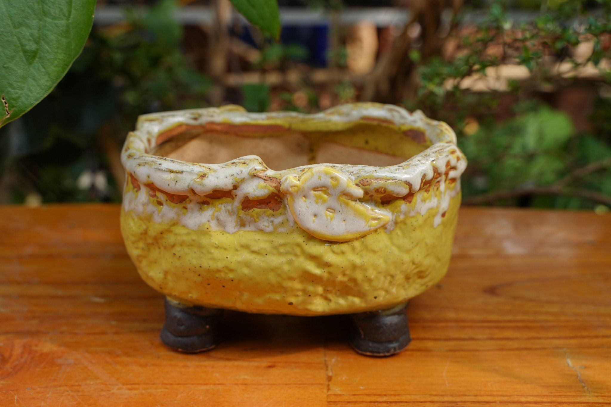 Chậu bonsai Kim 841, D18 x R12 x C11cm