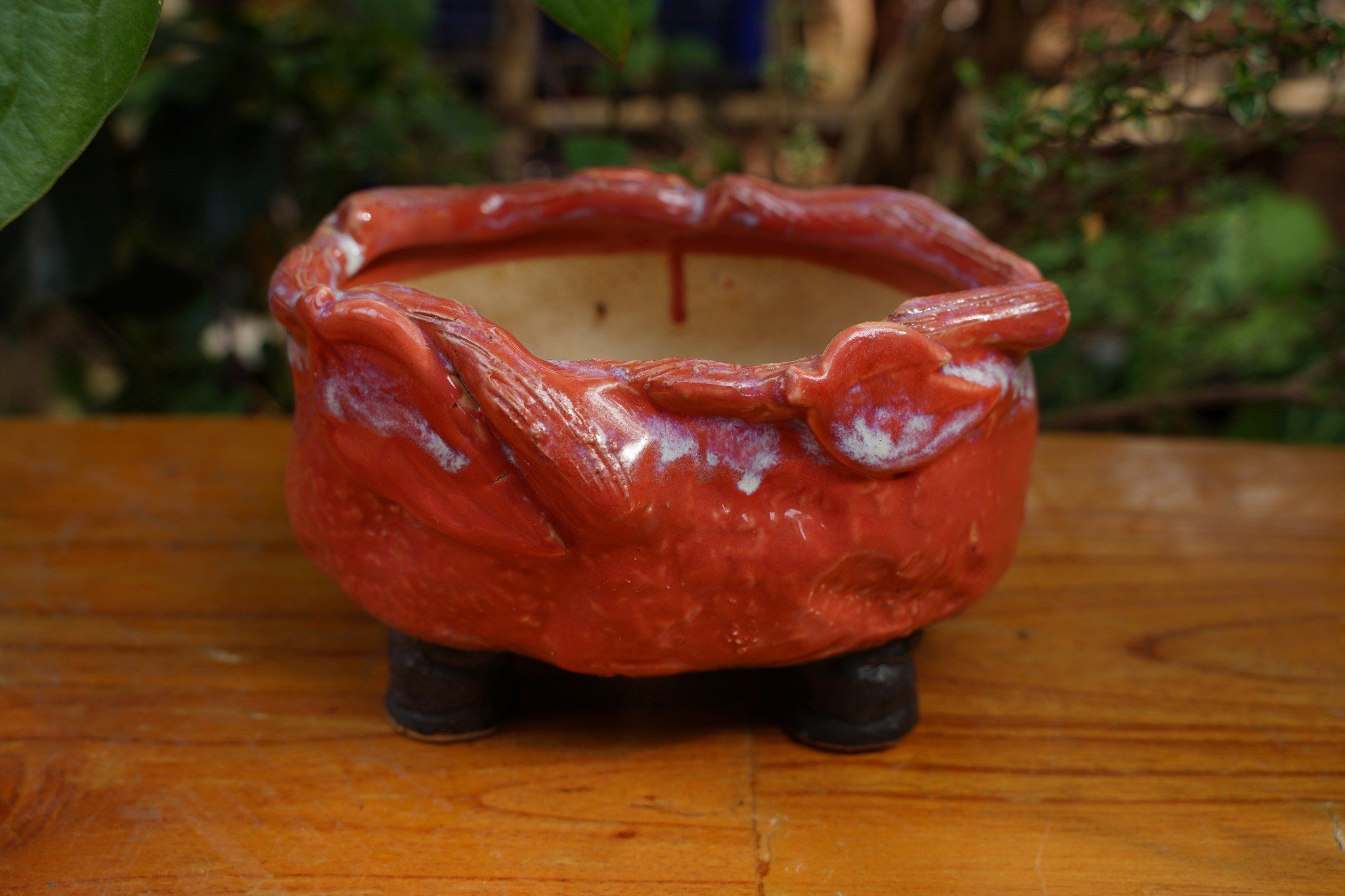 Chậu bonsai Kim 841, D18 x R12 x C11cm