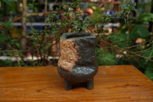  Chậu bonsai Kim 826, R10 x C13cm 