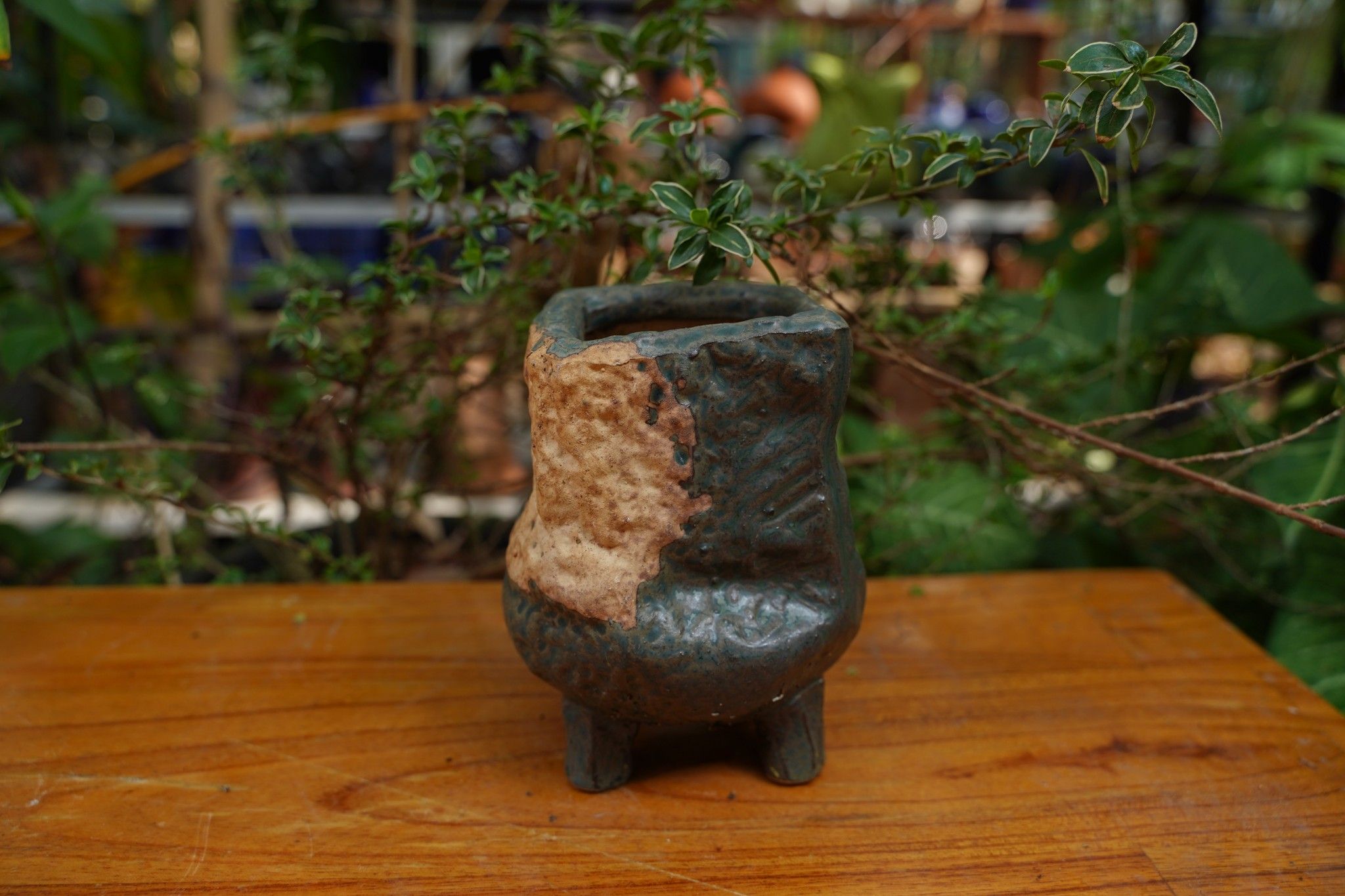 Chậu bonsai Kim 826, R10 x C13cm