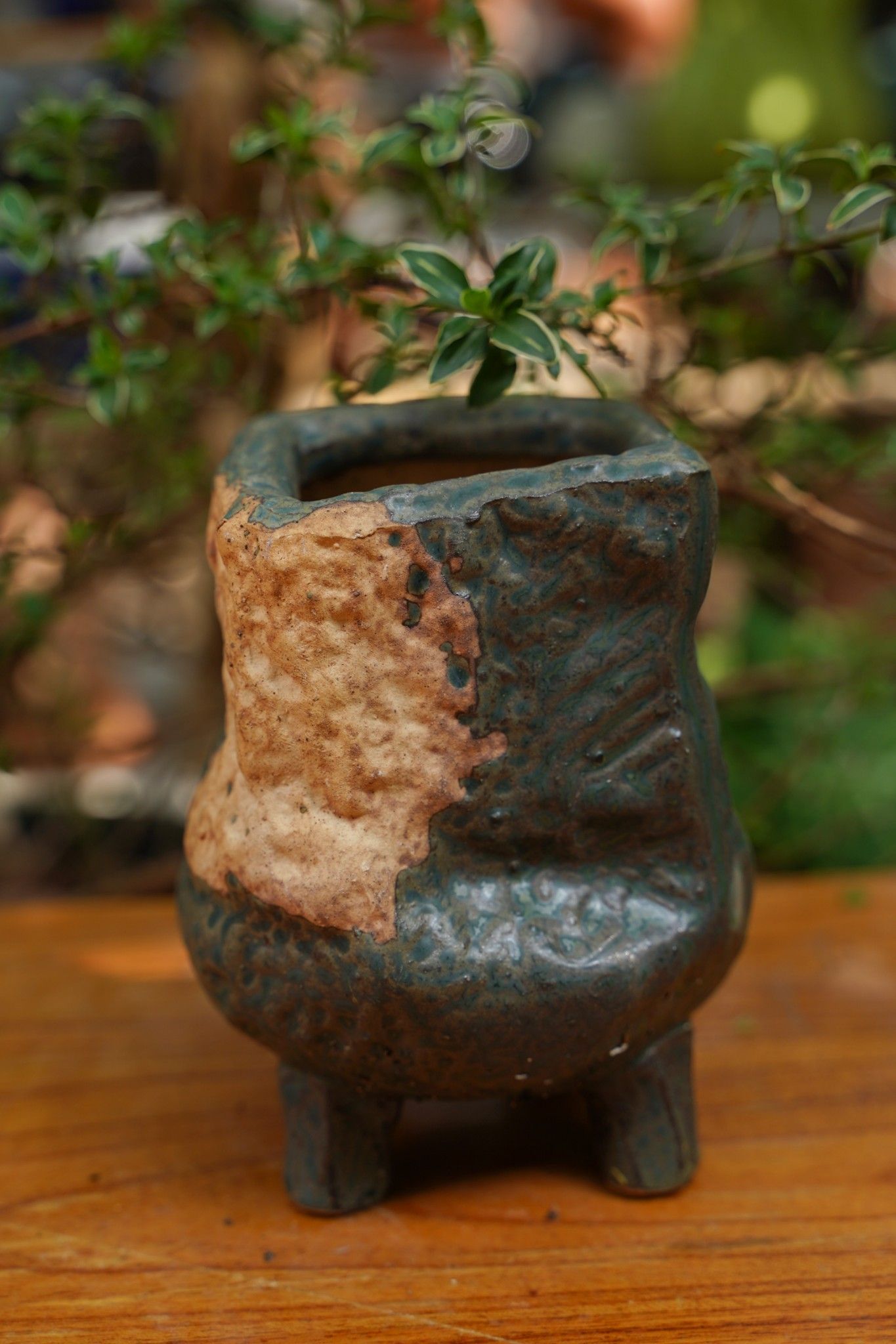 Chậu bonsai Kim 826, R10 x C13cm