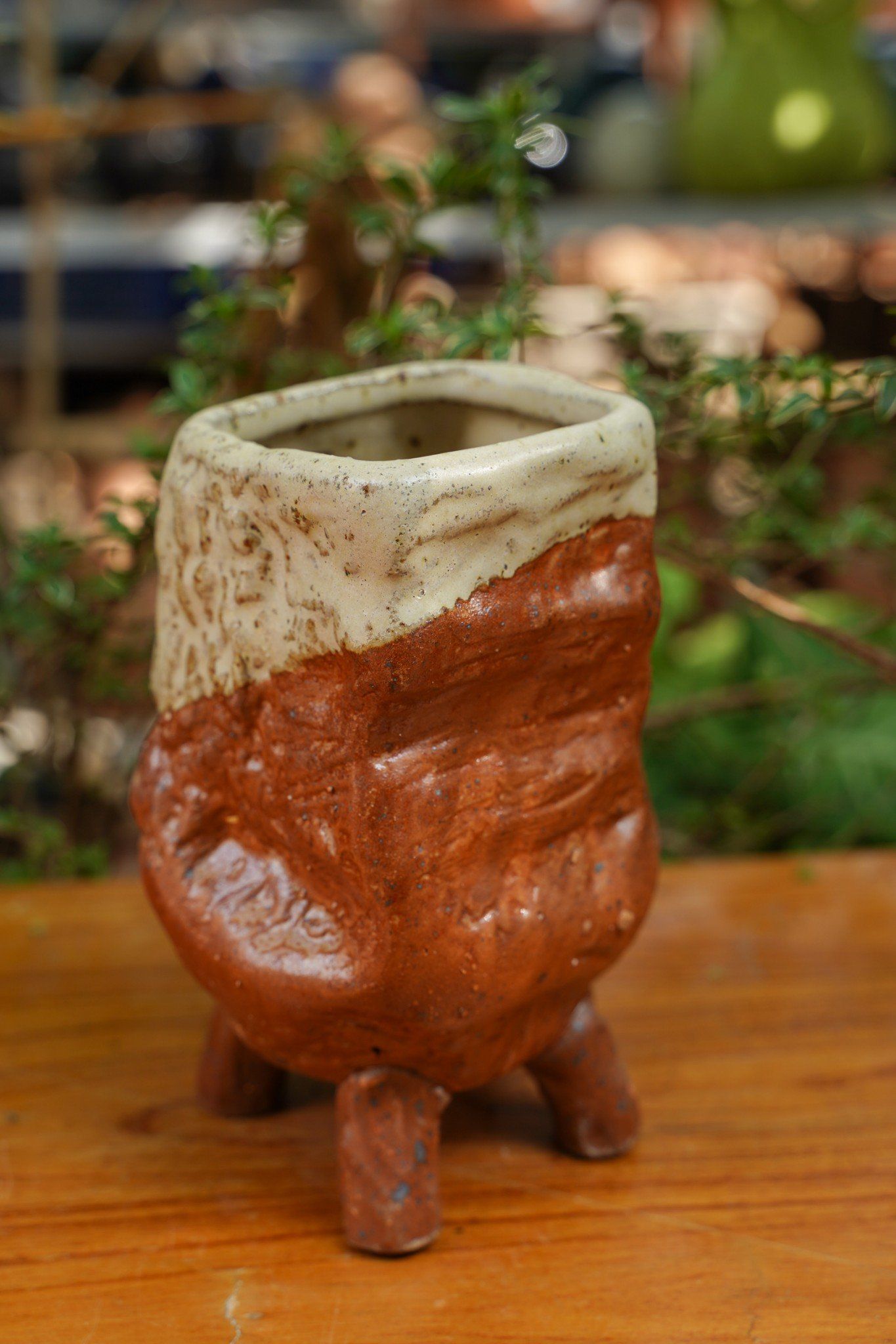 Chậu bonsai Kim 818, R12 x C15cm
