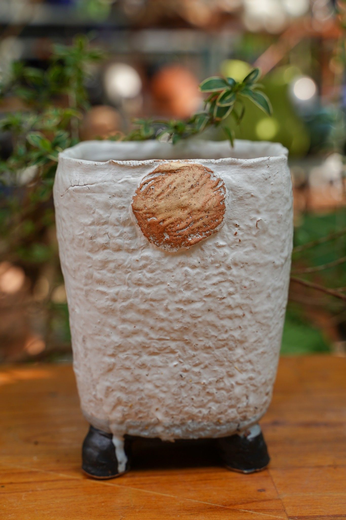  Chậu bonsai Kim 835, R13 x C17cm 