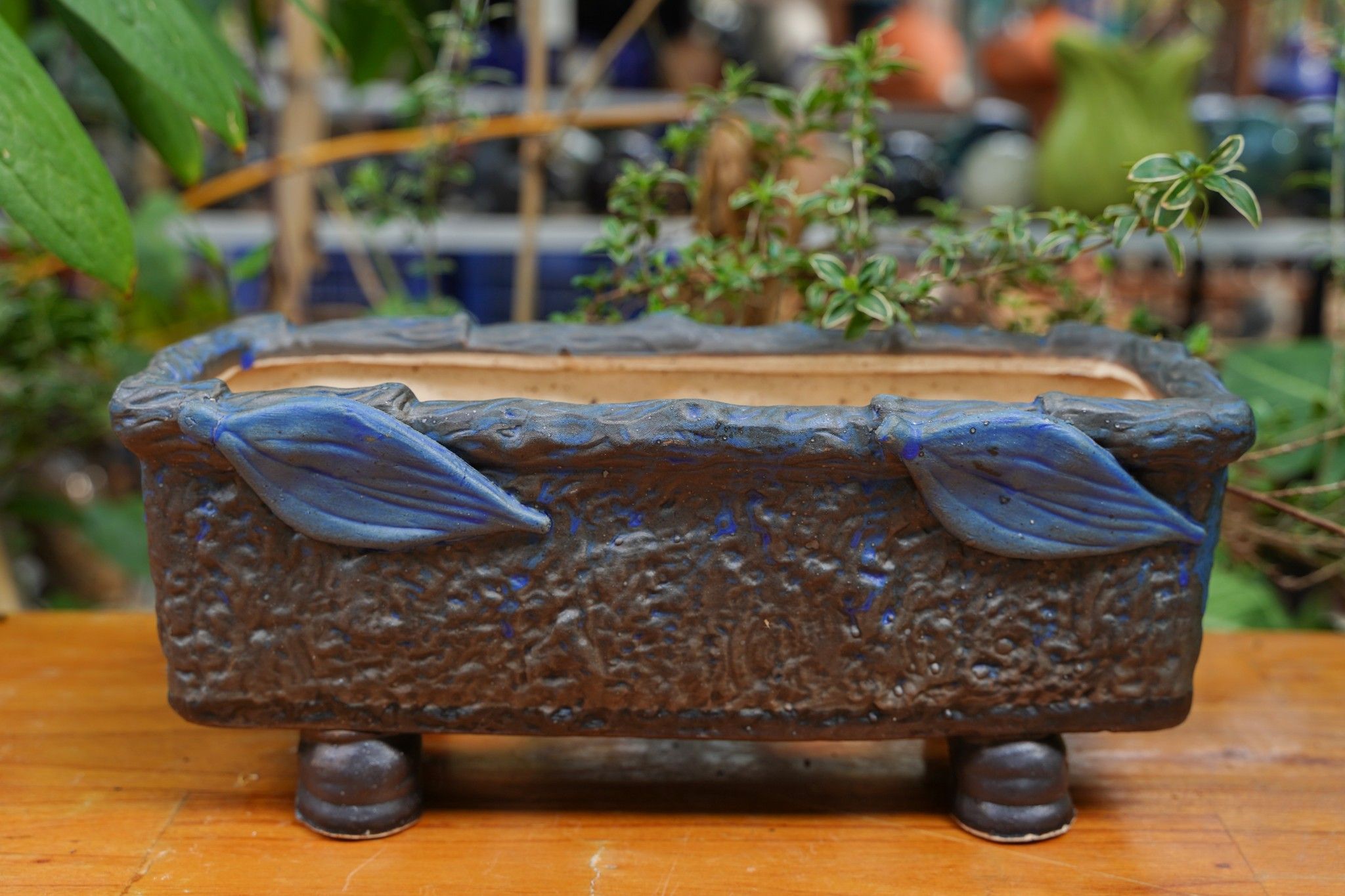 Chậu bonsai Kim 840, D31 x R15 x C13 cm