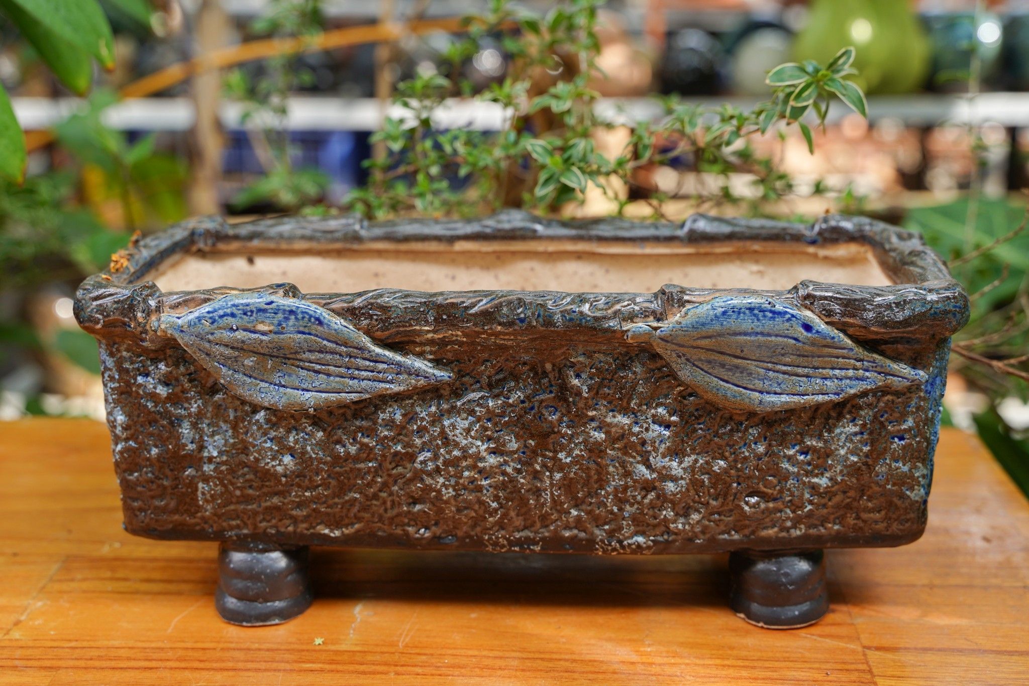 Chậu bonsai Kim 840, D31 x R15 x C13 cm