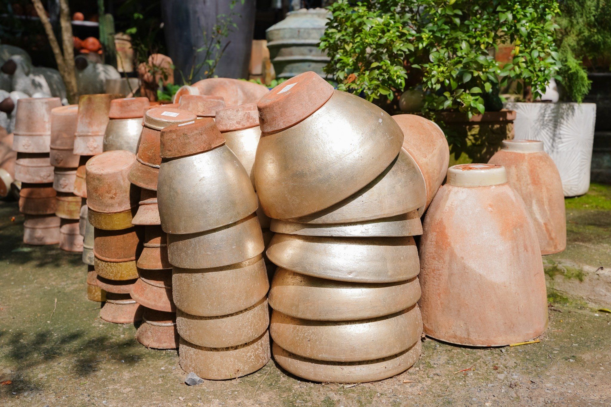 Chậu Terracotta, chậu đất nung, gốm Nam Bộ- 0302h3a001