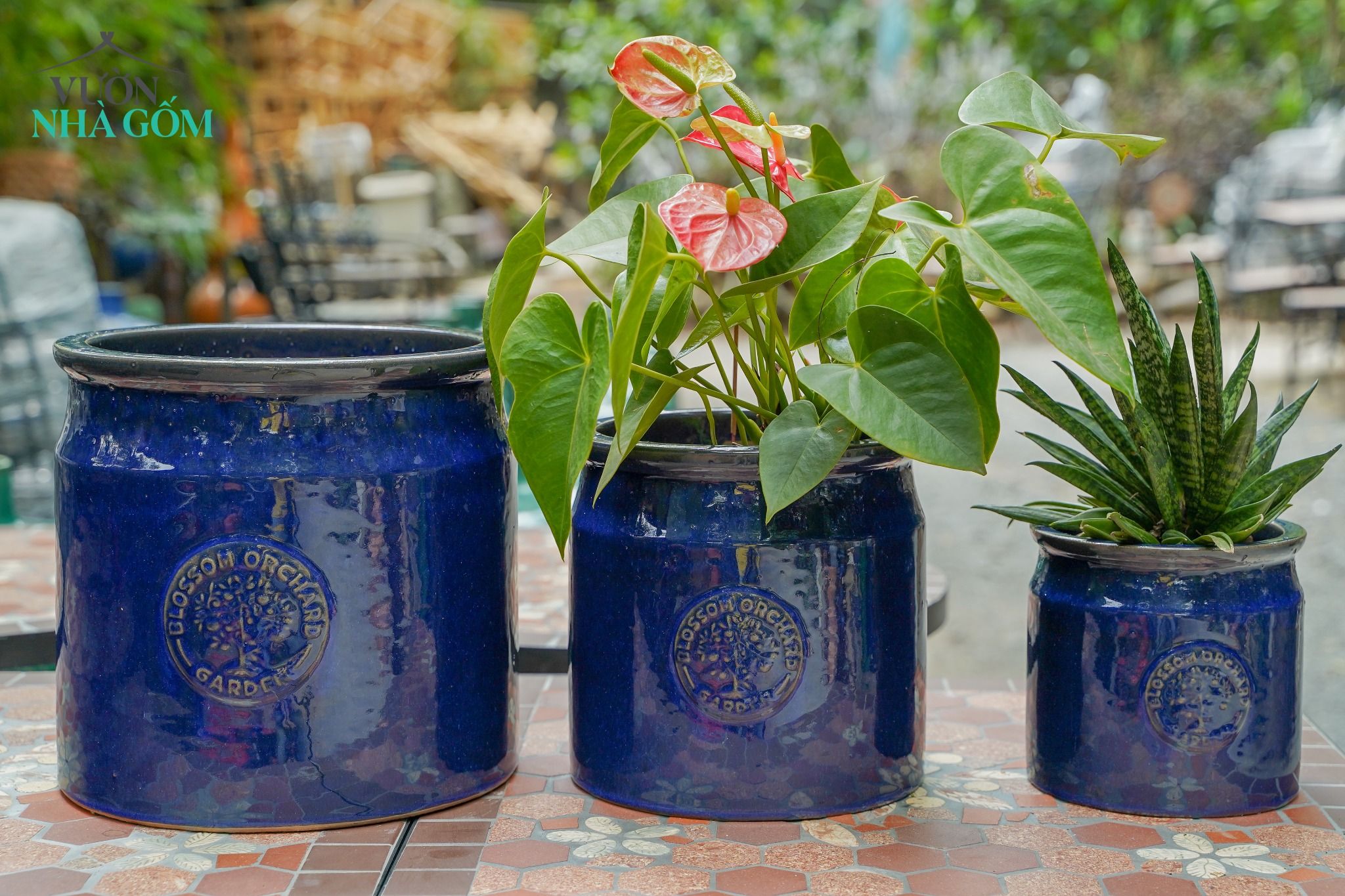 Bộ ba sản phẩm chậu logo xanh cobalt , chậu men trồng cây, gốm Nam Bộ, C22xR22 cm