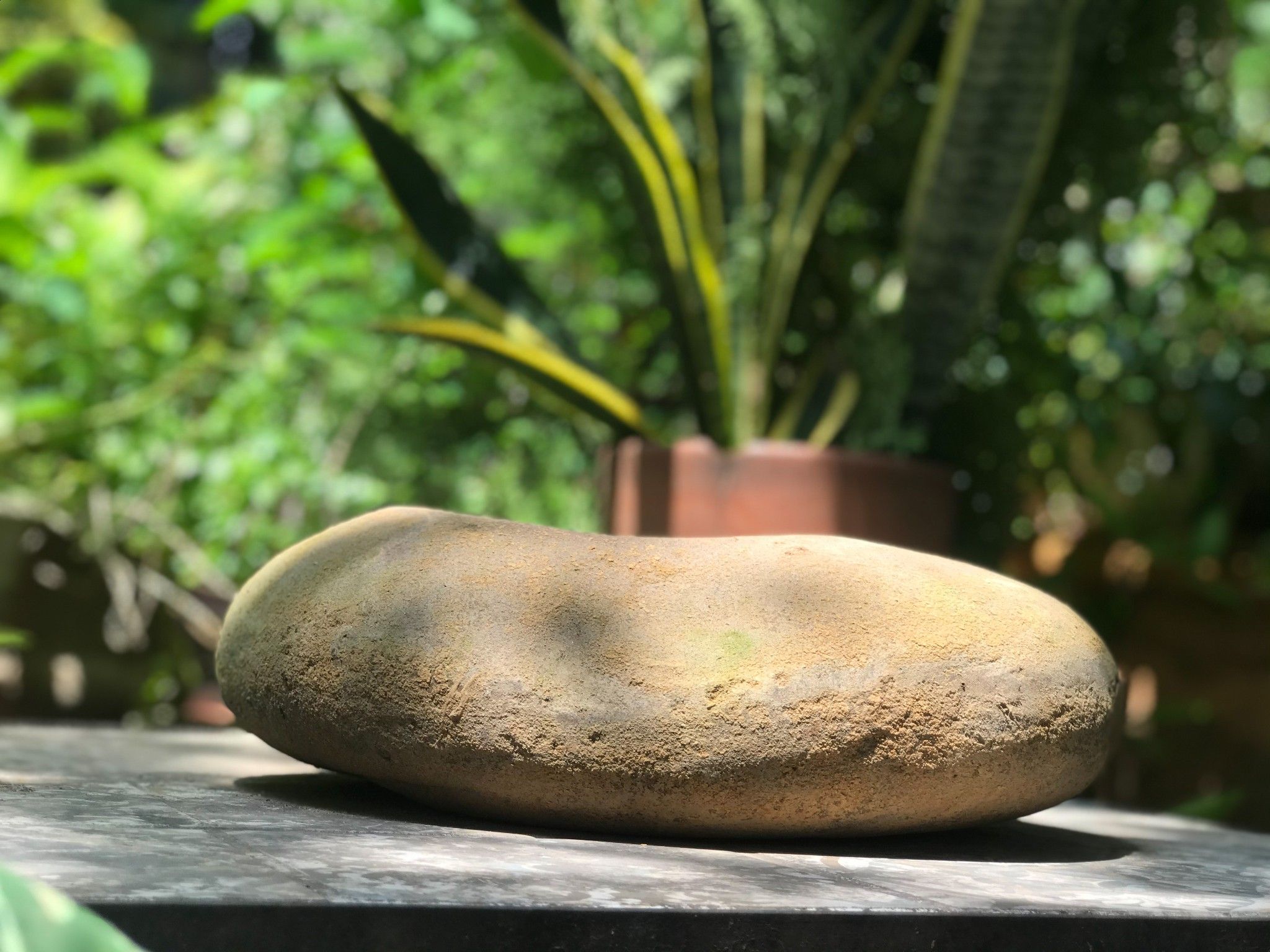Chậu đất nung