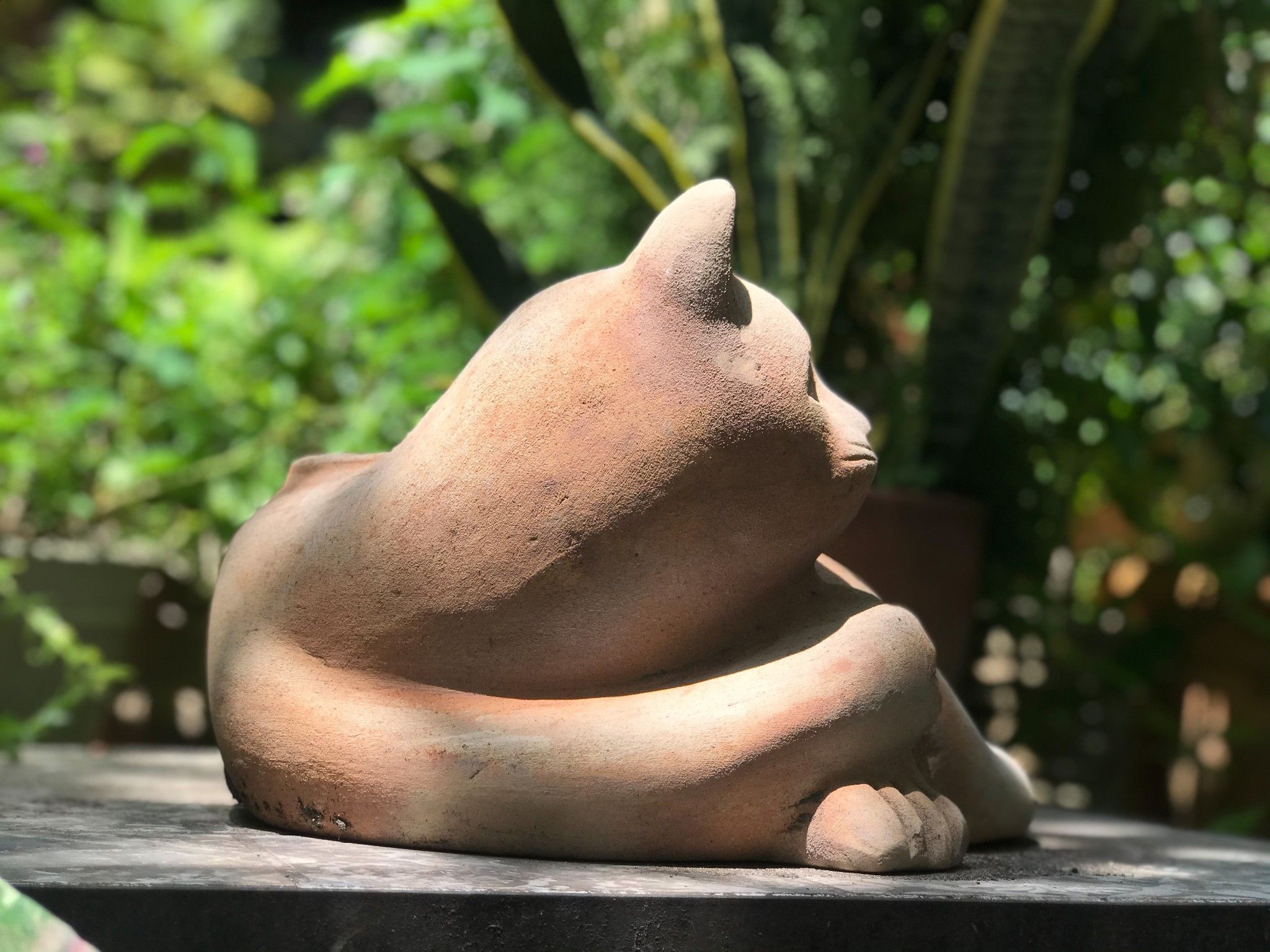 Chậu đất nung