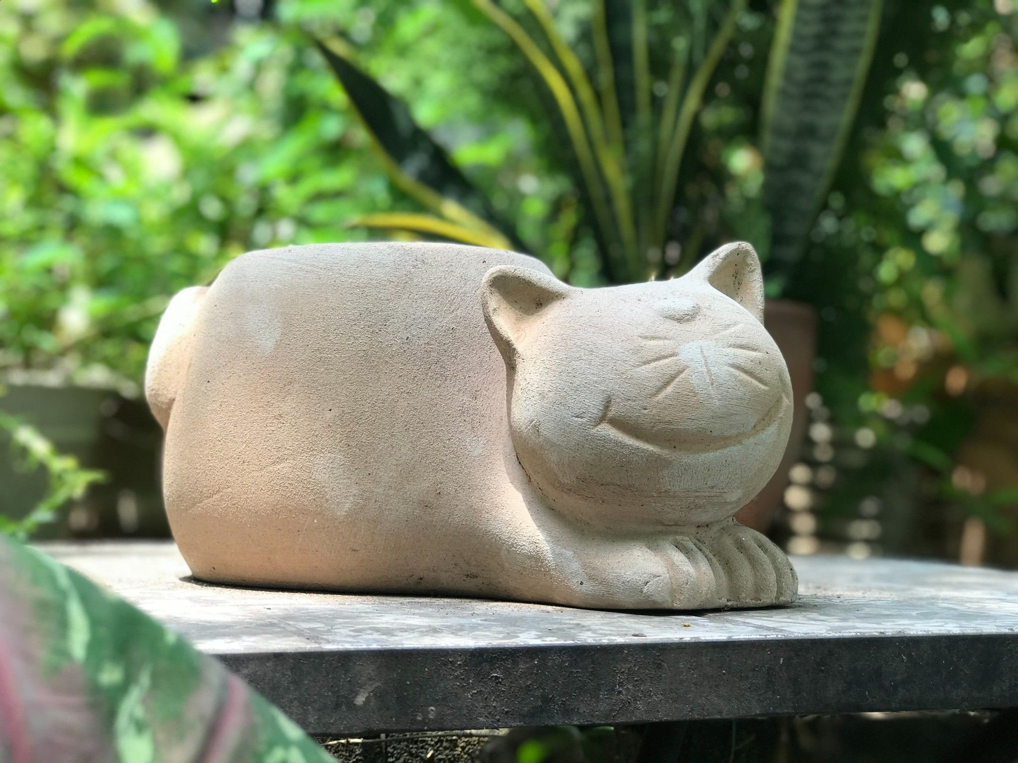 Chậu đất nung