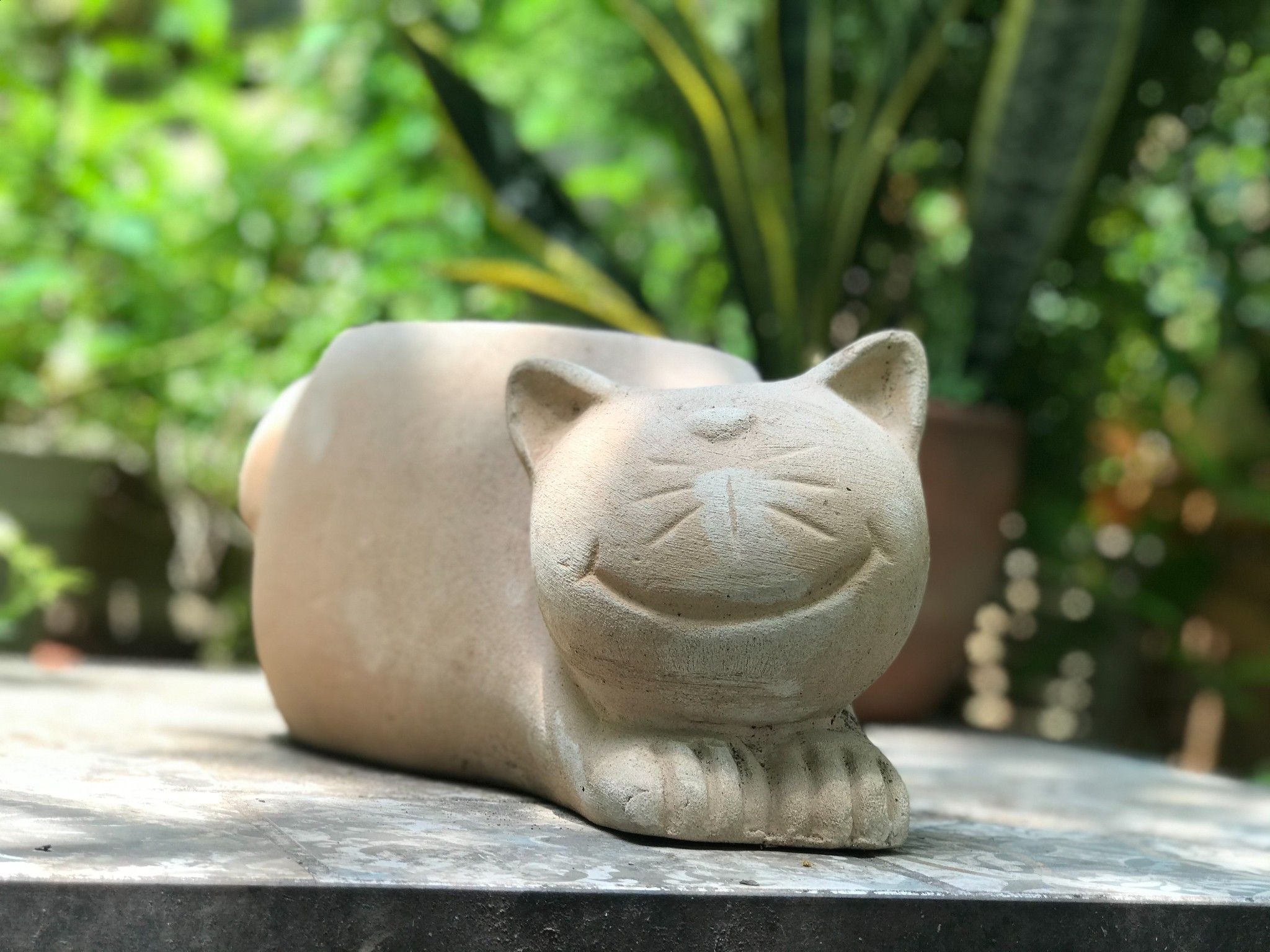 Chậu đất nung