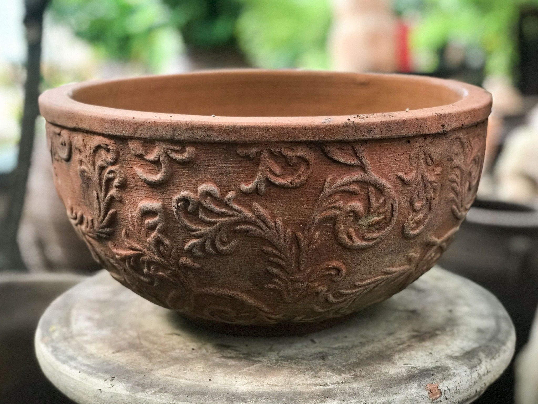 Chậu tròn dẹp dây lá nhỏ, R36xC18 cm