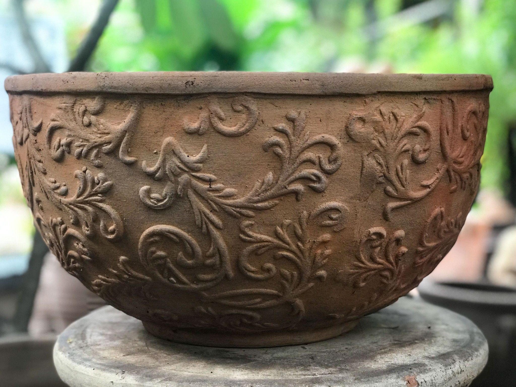 Chậu tròn dẹp dây lá trung, R44xC22 cm