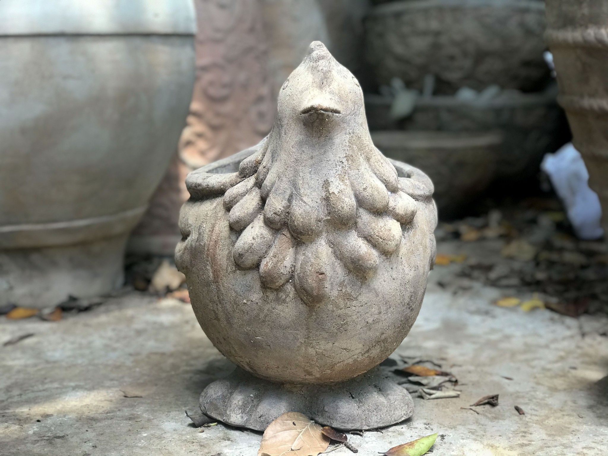 Chậu gà mái đất đen, D46xD27xC40 cm