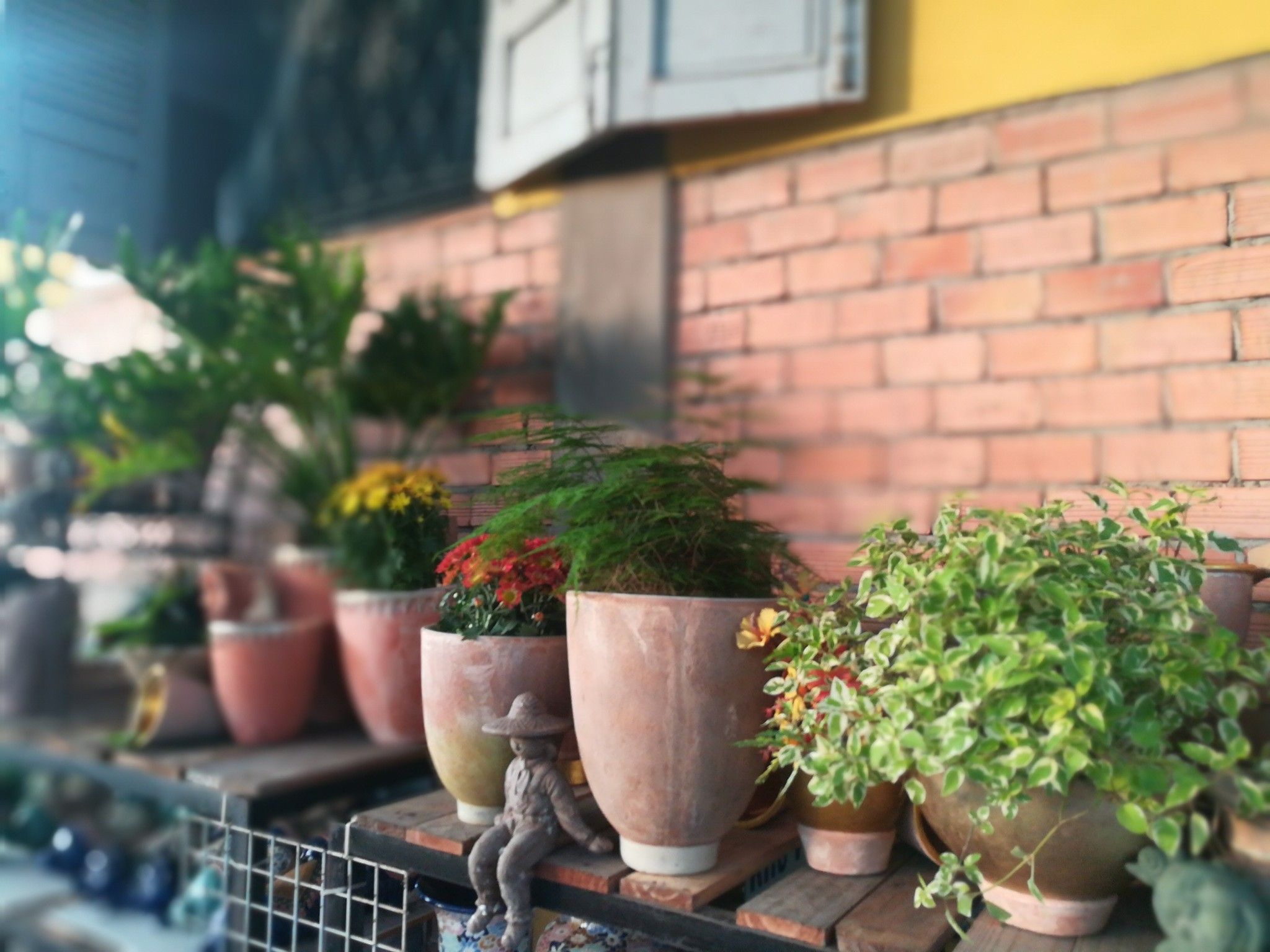 Chậu Terracotta, chậu đất nung, gốm Nam Bộ- 0302h3a001