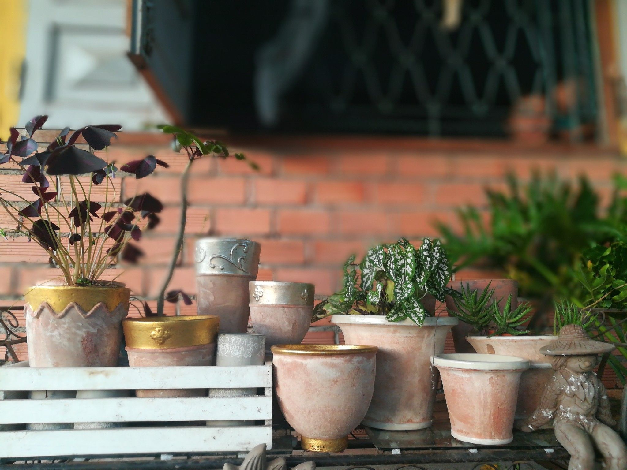Chậu Terracotta, chậu đất nung, gốm Nam Bộ- 0302h3a001