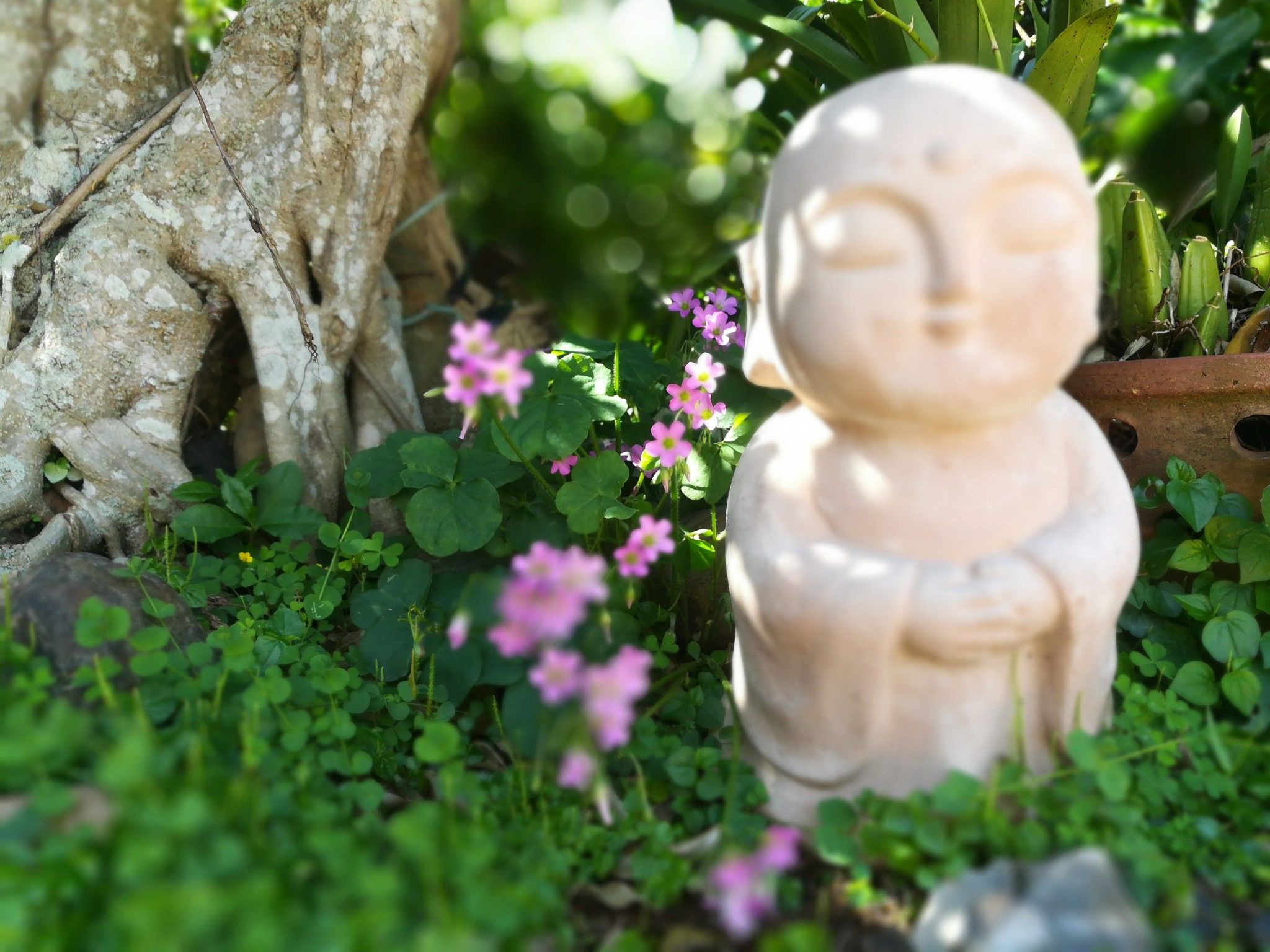 Tượng chú tiểu, đất nung nhỏ, H24cm