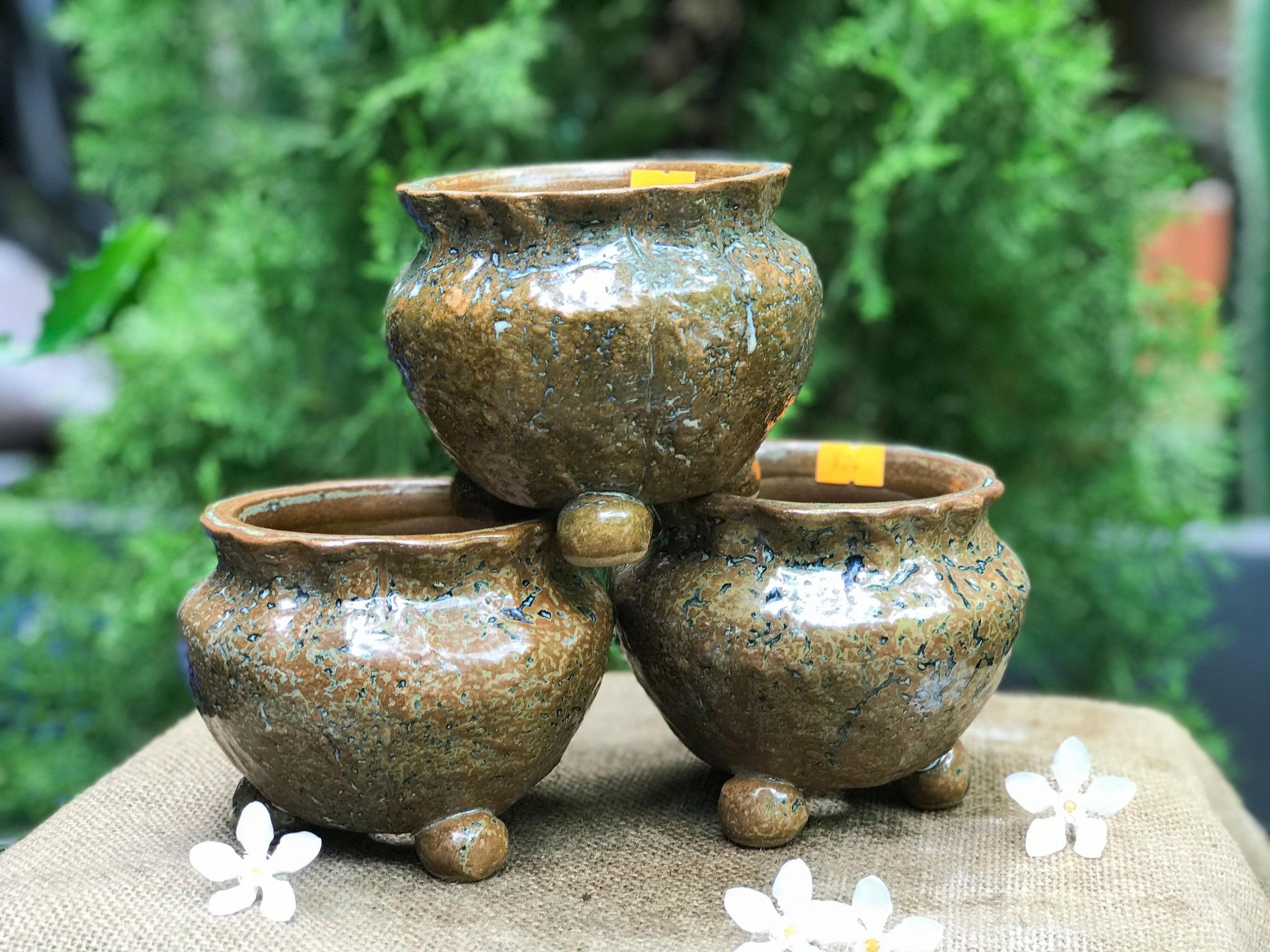 Chậu bonsai Kim 806, R13xC10 cm