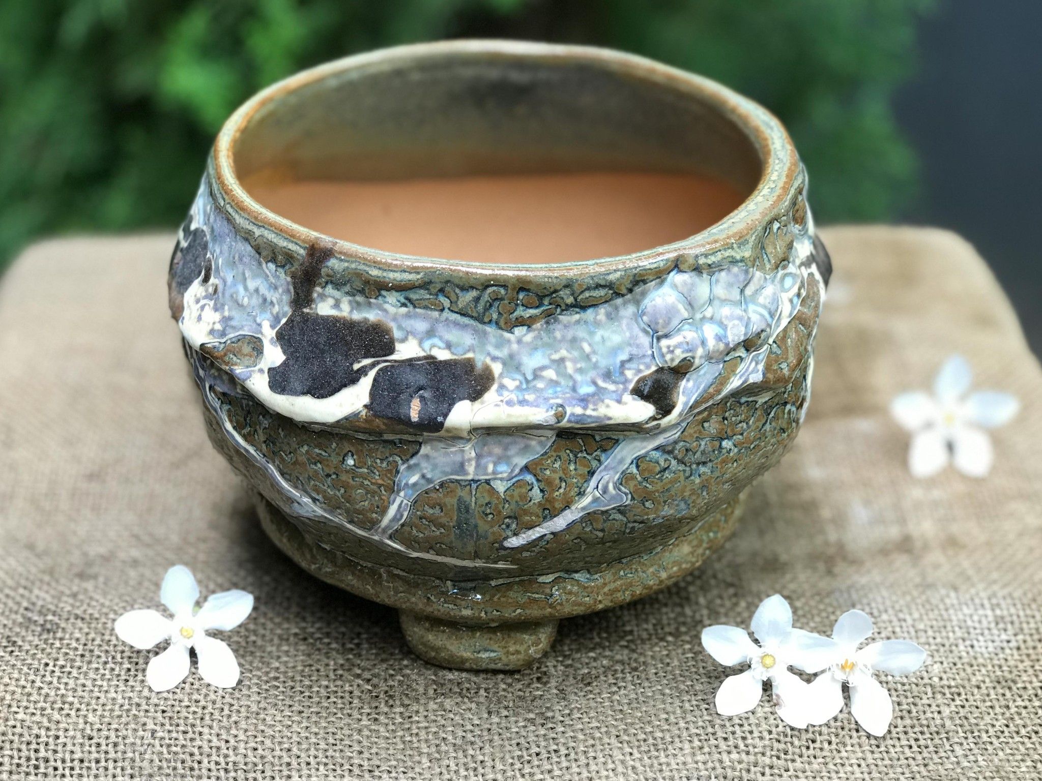 Chậu bonsai Kim 808, R16xC12 cm