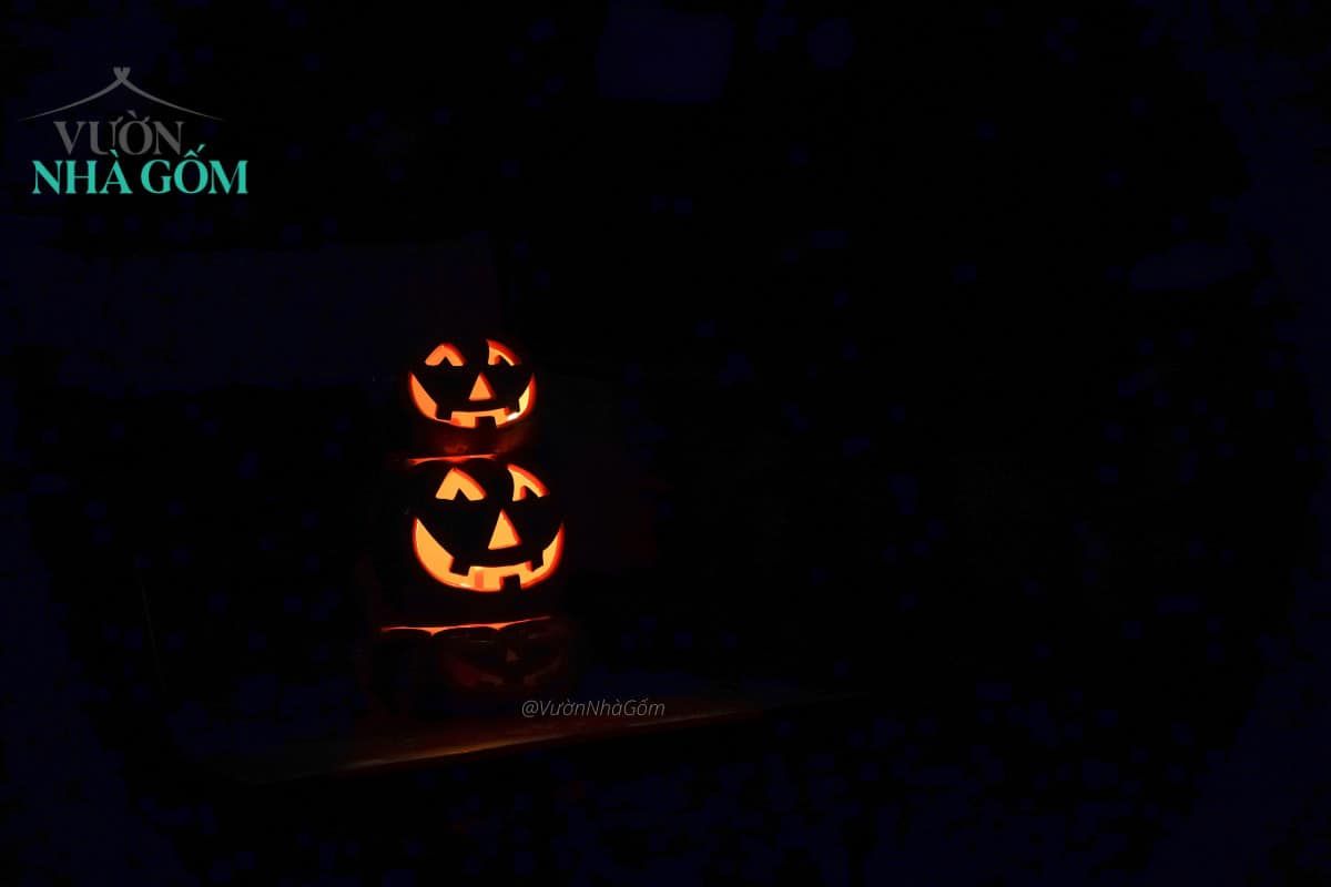 Tượng Bí tròn, Bí lọng trang trí Halloween, lễ hội, trong nhà ngoài trời