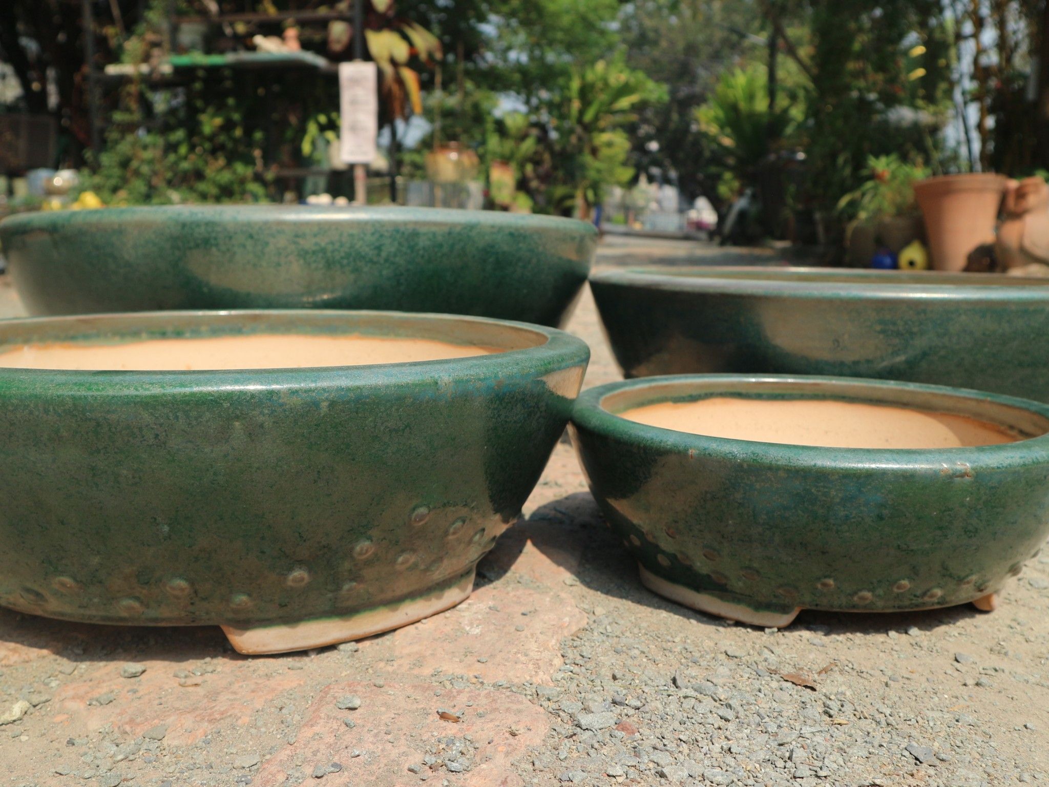 Chậu bonsai Lá, tròn chấm bi, bộ 4- 0102s3g034