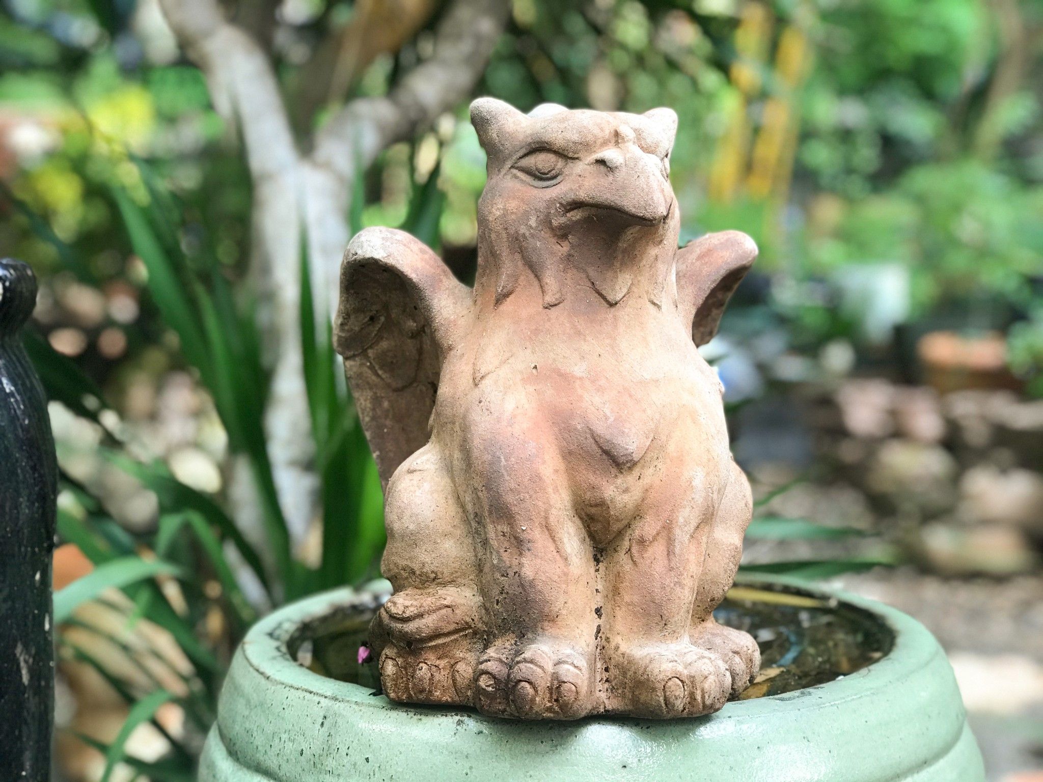 Tượng đất nung, Đại bàng cô đơn, C30 x R37cm