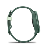 Đồng hồ Vivoactive 6
