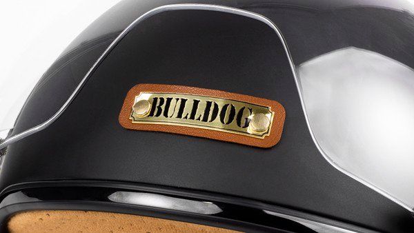 Bulldog pom xám bóng