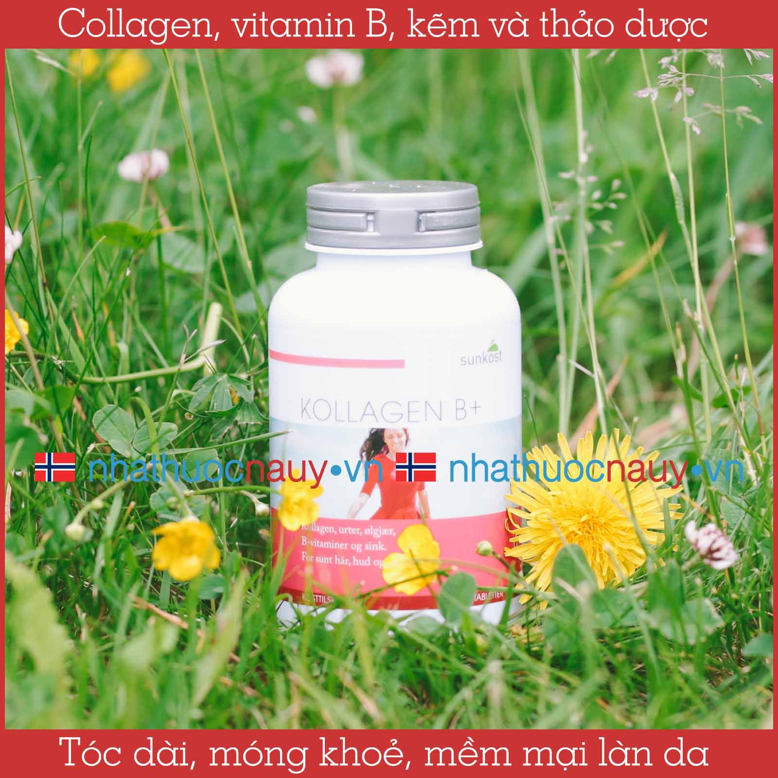 Collagen kết hợp vitamin B | Sunkost Kollagen B+