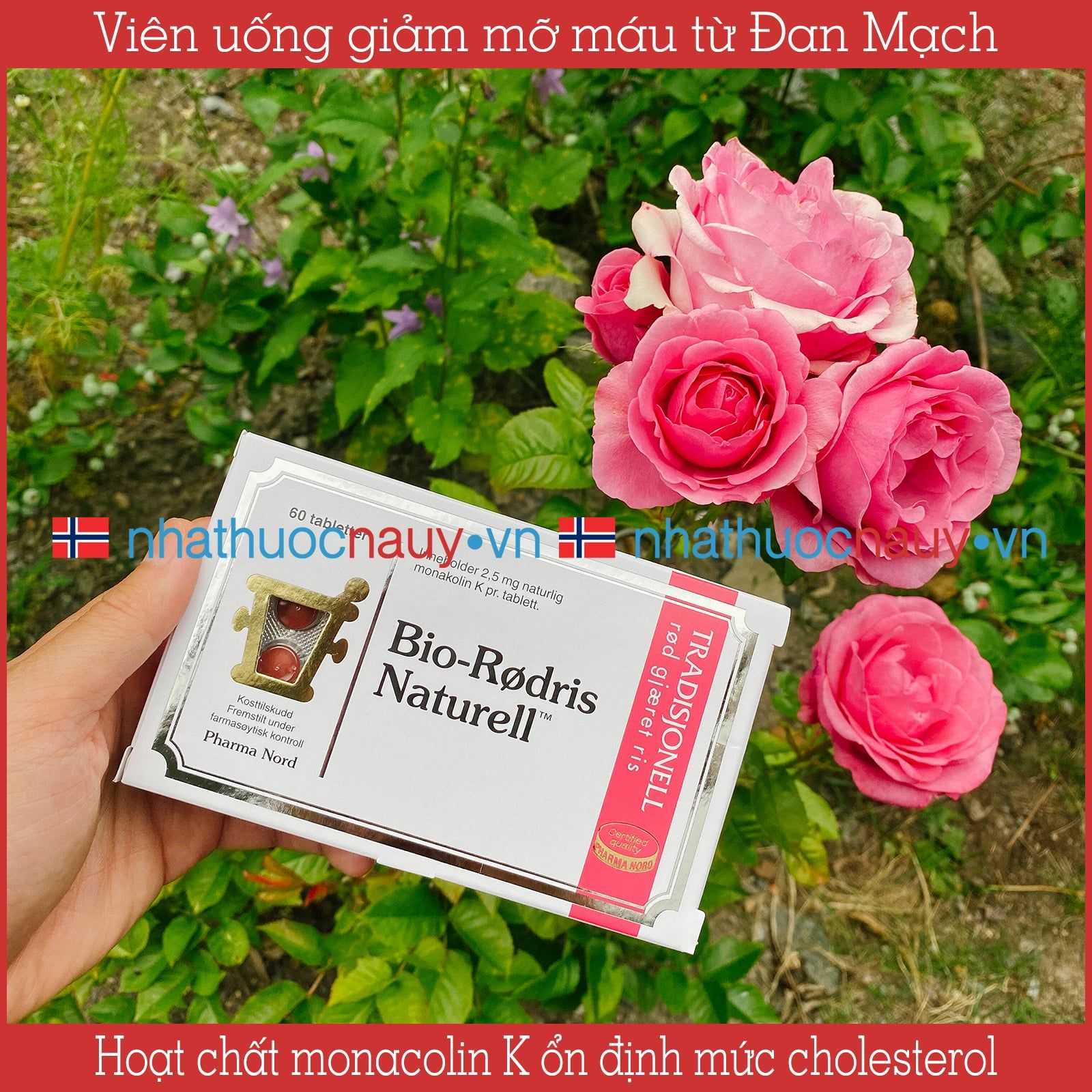 Viên uống giảm mỡ máu Bio-Rødris Naturell