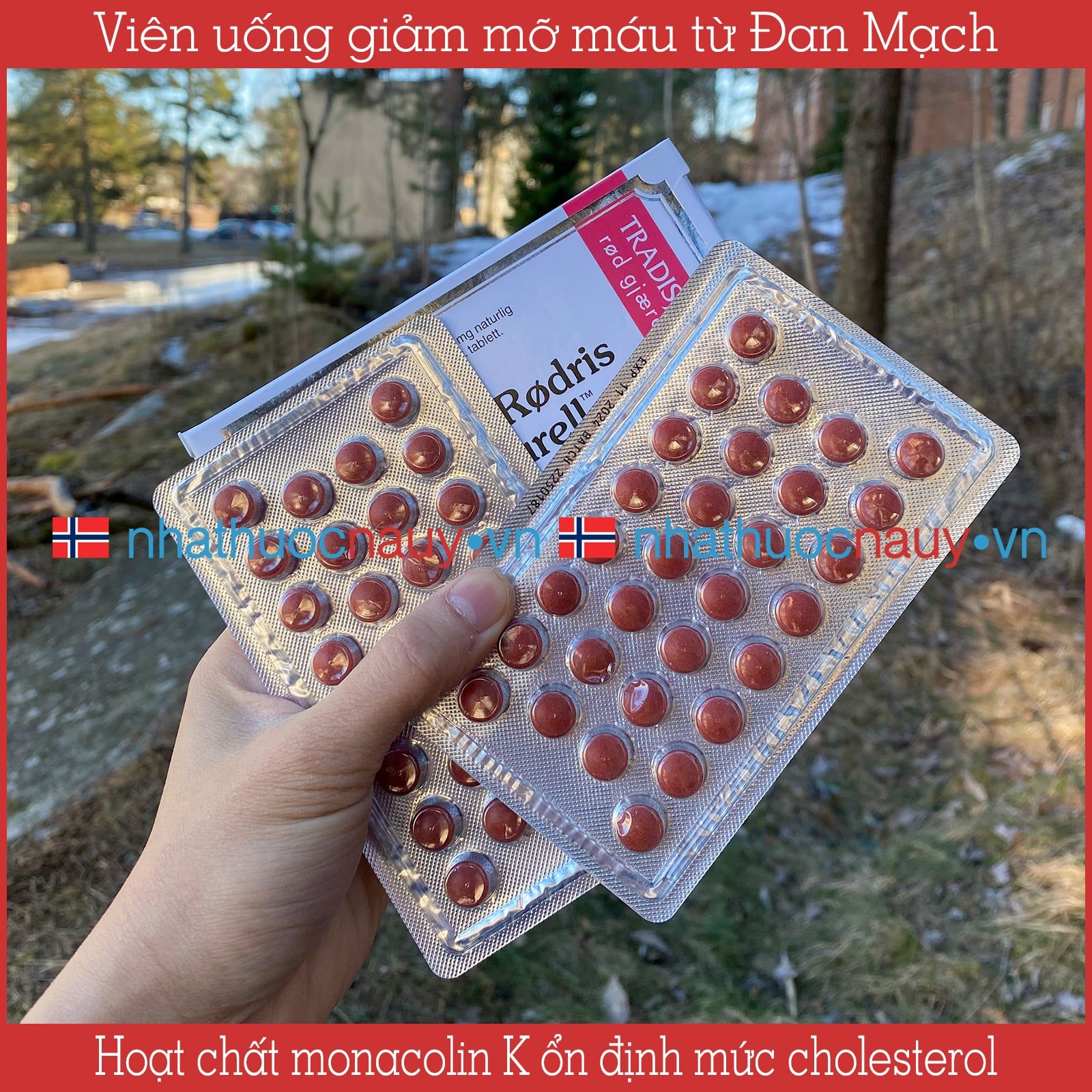 Viên uống giảm mỡ máu Bio-Rødris Naturell
