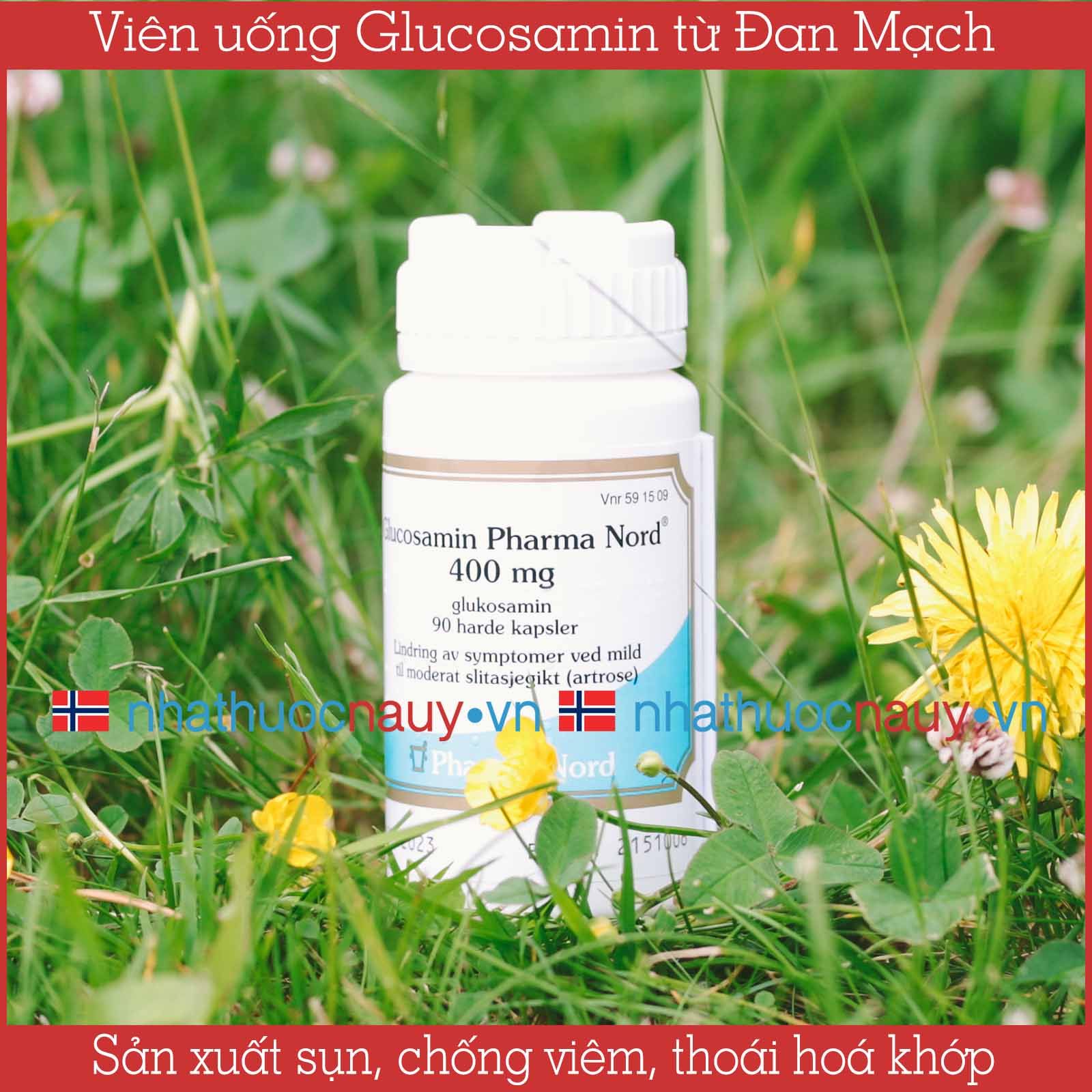Glucosamin giảm đau khớp