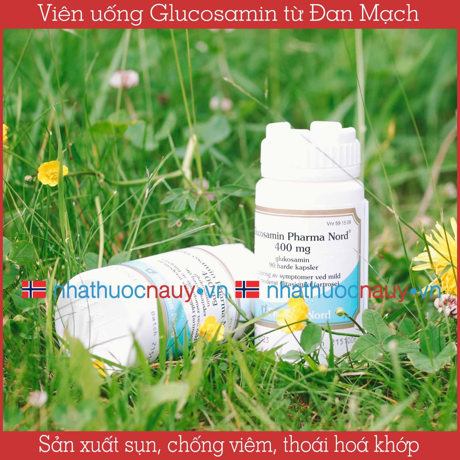 Glucosamin giảm đau khớp