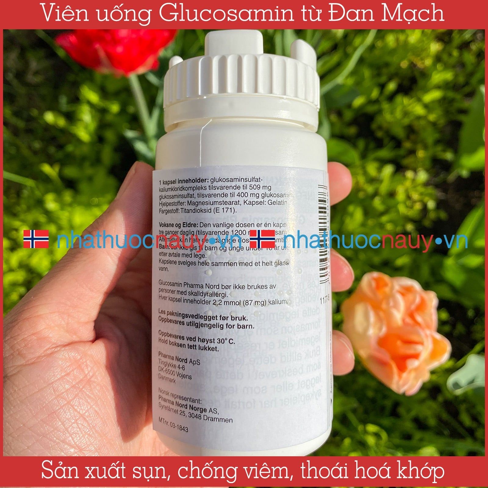 Glucosamin giảm đau khớp