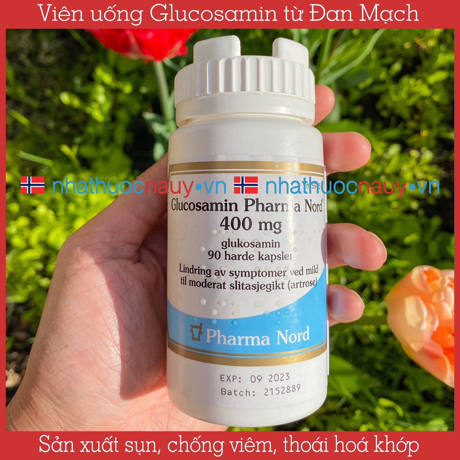 Glucosamin giảm đau khớp