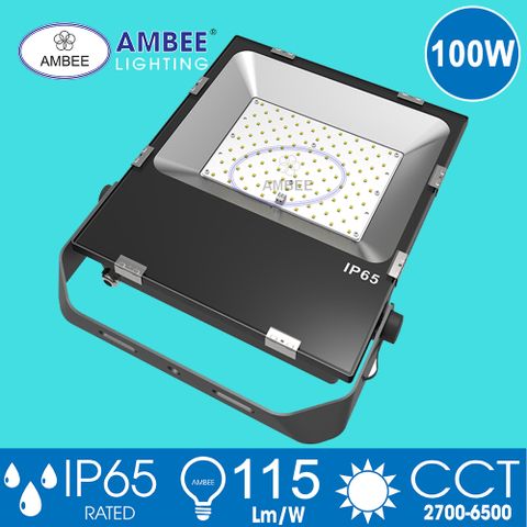 Đèn Led Pha TD01 100W