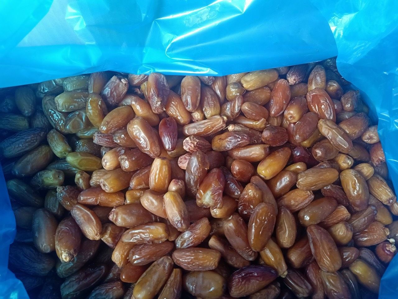 Chà Là Nguyên Cành Sỉ Giá 1kg (Thùng 10kg)
