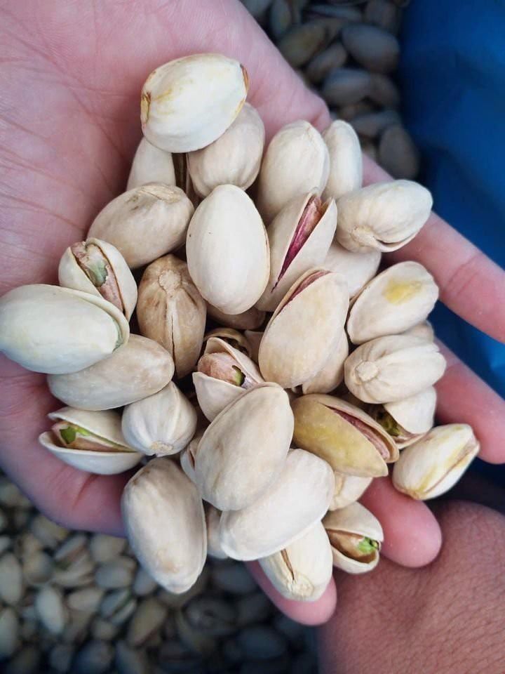 Hạt Dẻ Cười Tươi Sỉ Giá 1kg (Thùng 11.34kg)