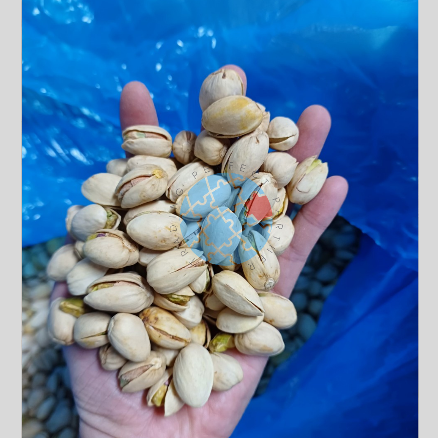 Hạt Dẻ Cười Tươi Sỉ Giá 1kg (Thùng 11.34kg)