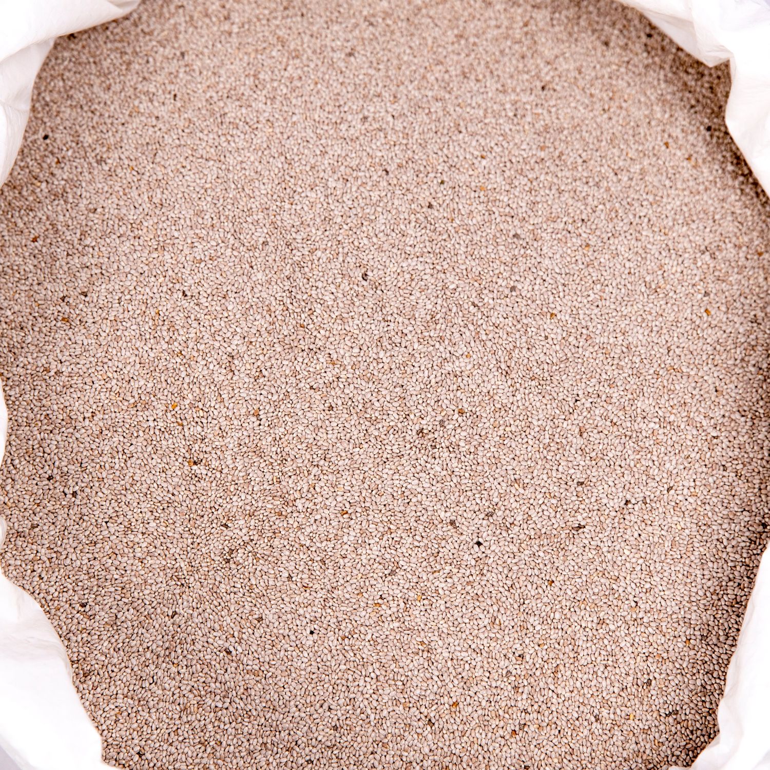 Hạt Chia Trắng Hữu Cơ Giá Sỉ