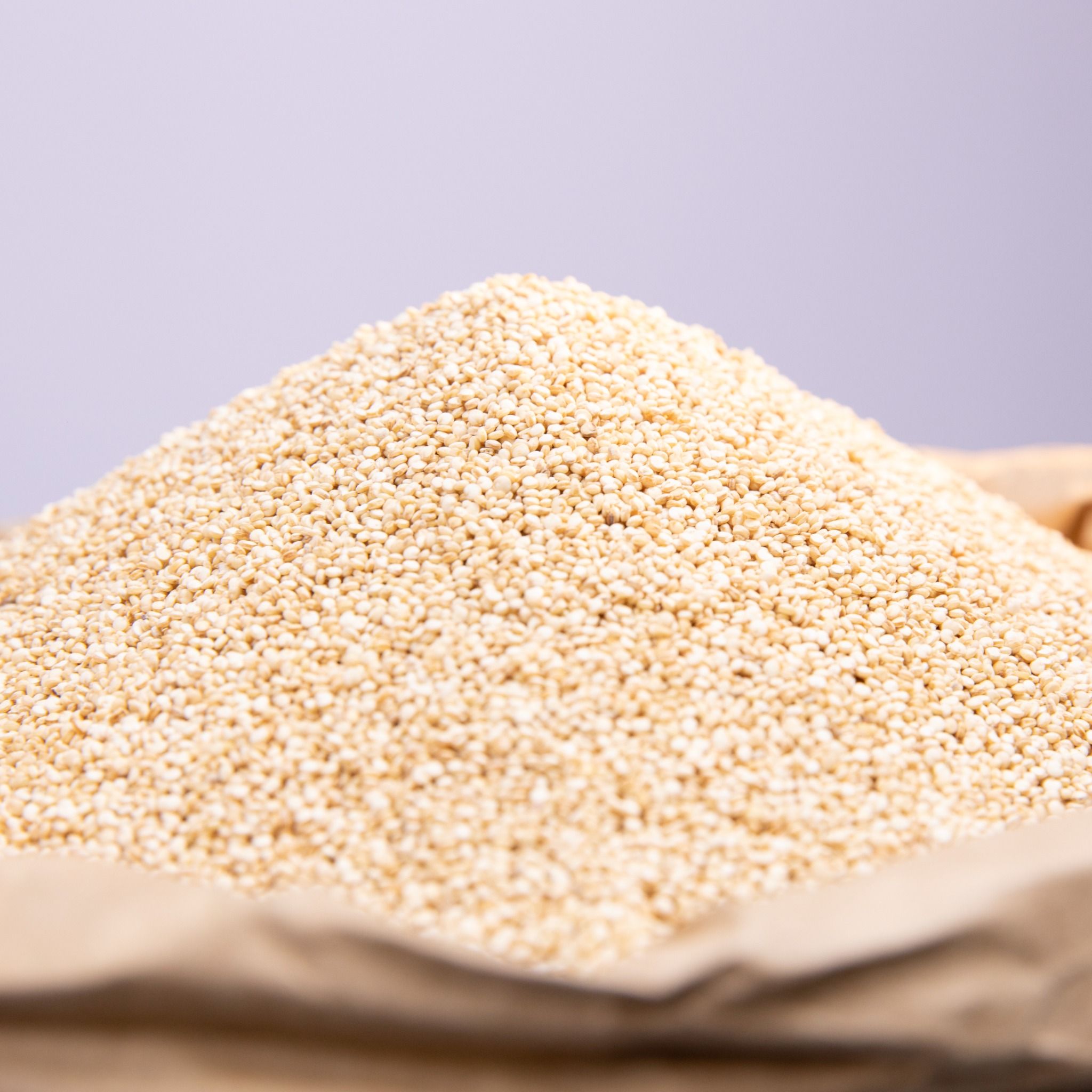 Hạt Quinoa Trắng Hữu Cơ Giá Sỉ