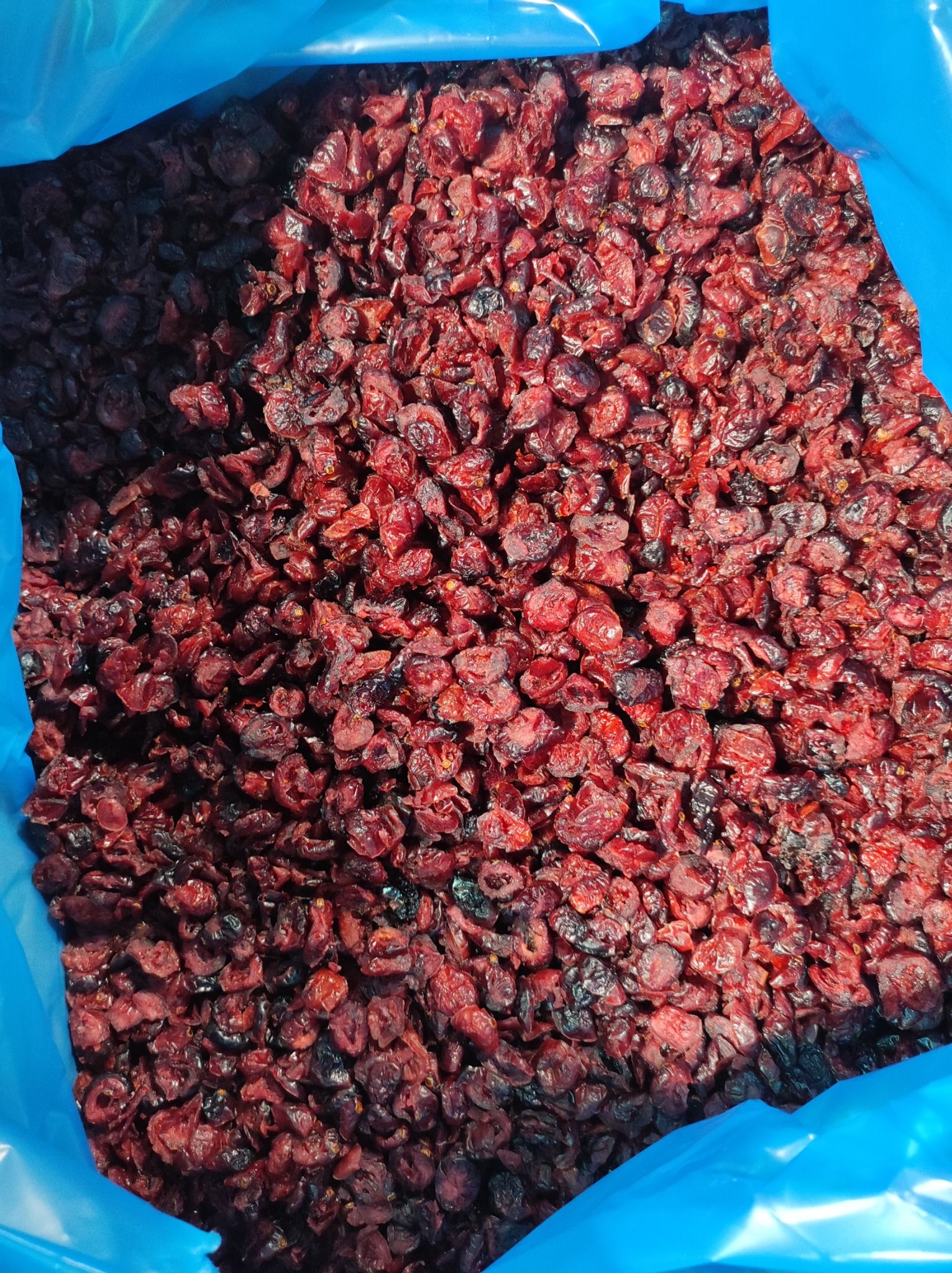 Nam Việt Quất Mỹ Sỉ Giá 1kg (Thùng 11.34kg)