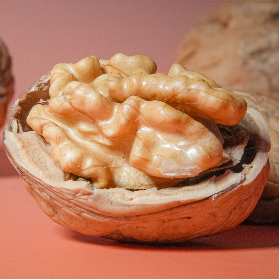 Nhân Óc Chó Vàng Chile Sỉ Giá 1kg (Thùng 10kg)