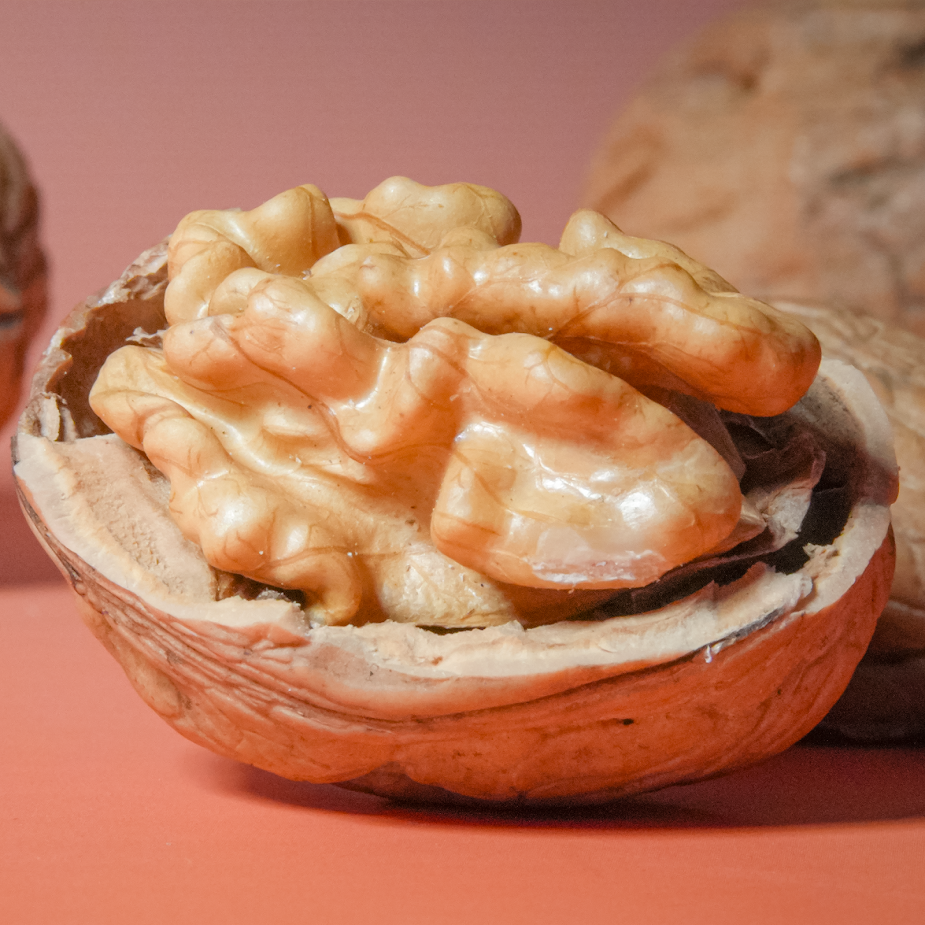 Nhân Óc Chó Vàng Chile Sỉ Giá 1kg (Thùng 10kg)