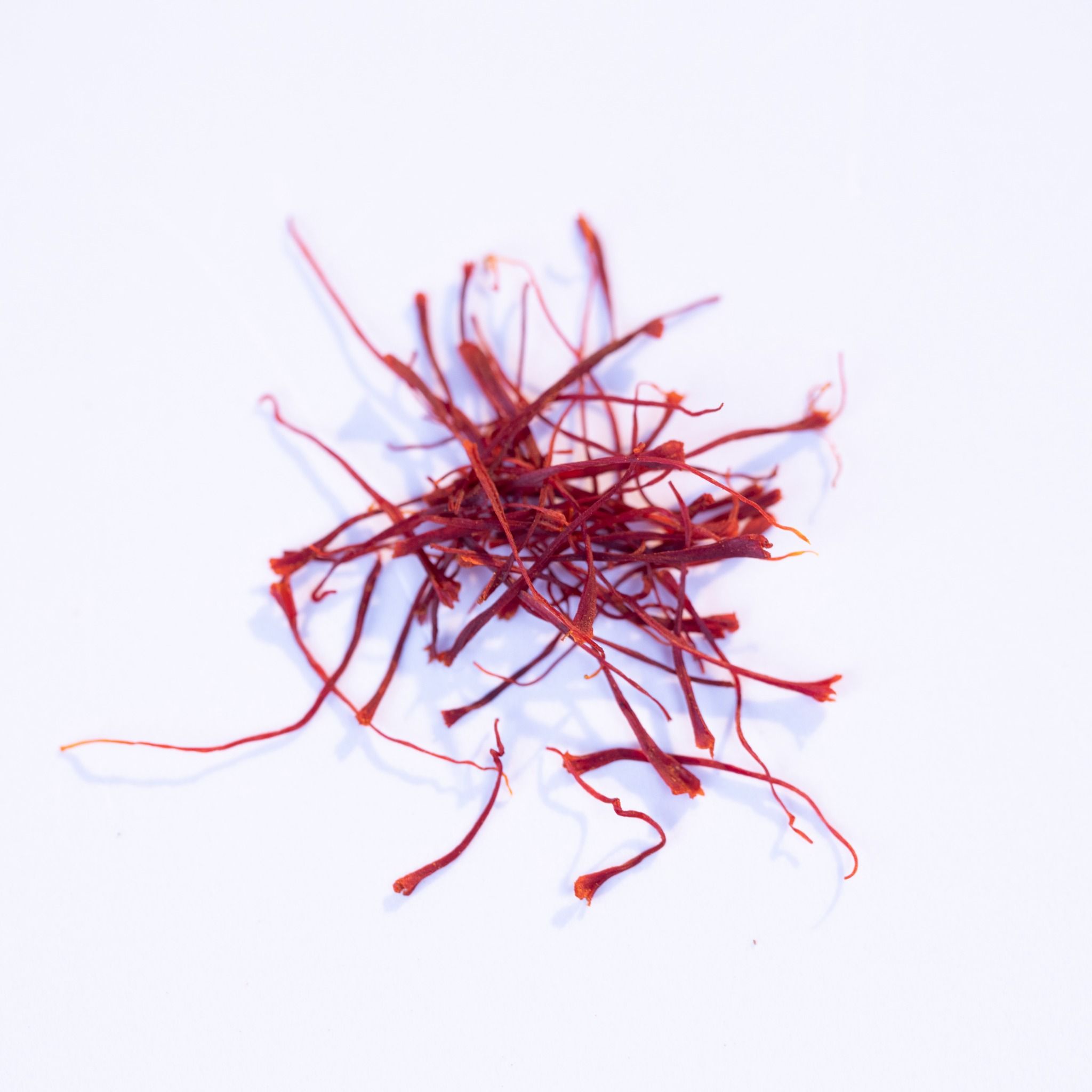 Saffron - Nhụy Hoa Nghệ Tây Giá Sỉ