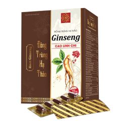 Hom Ginseng đông trùng hạ thảo cao linh chi Tradiphar bồi bổ tăng đề kháng