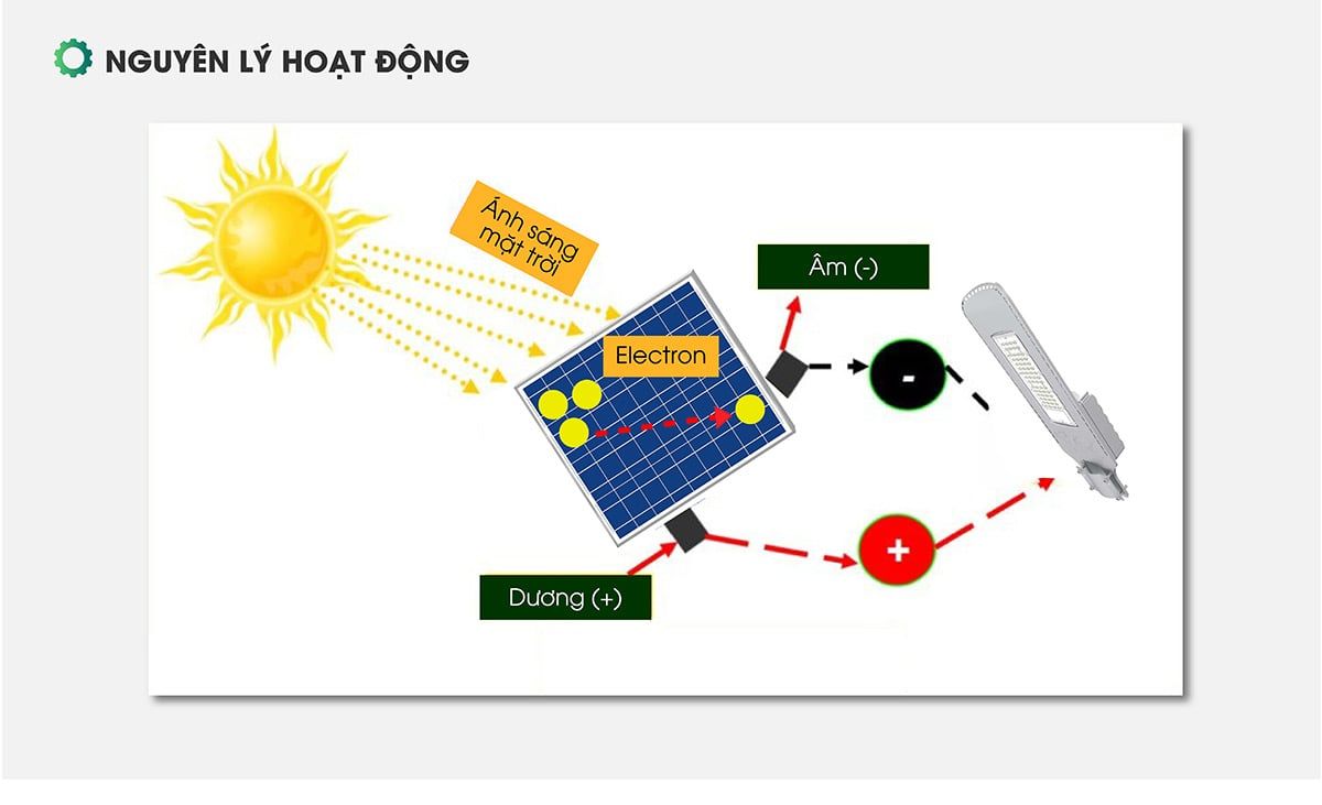  RẠNG ĐÔNG - ĐÈN ĐƯỜNG NLMT 50W V2 