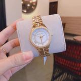 Đồng hồ Michael Kors Ladies watch MK3899