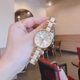 Đồng hồ Michael Kors Ladies watch MK6601